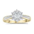 BRI35734-g