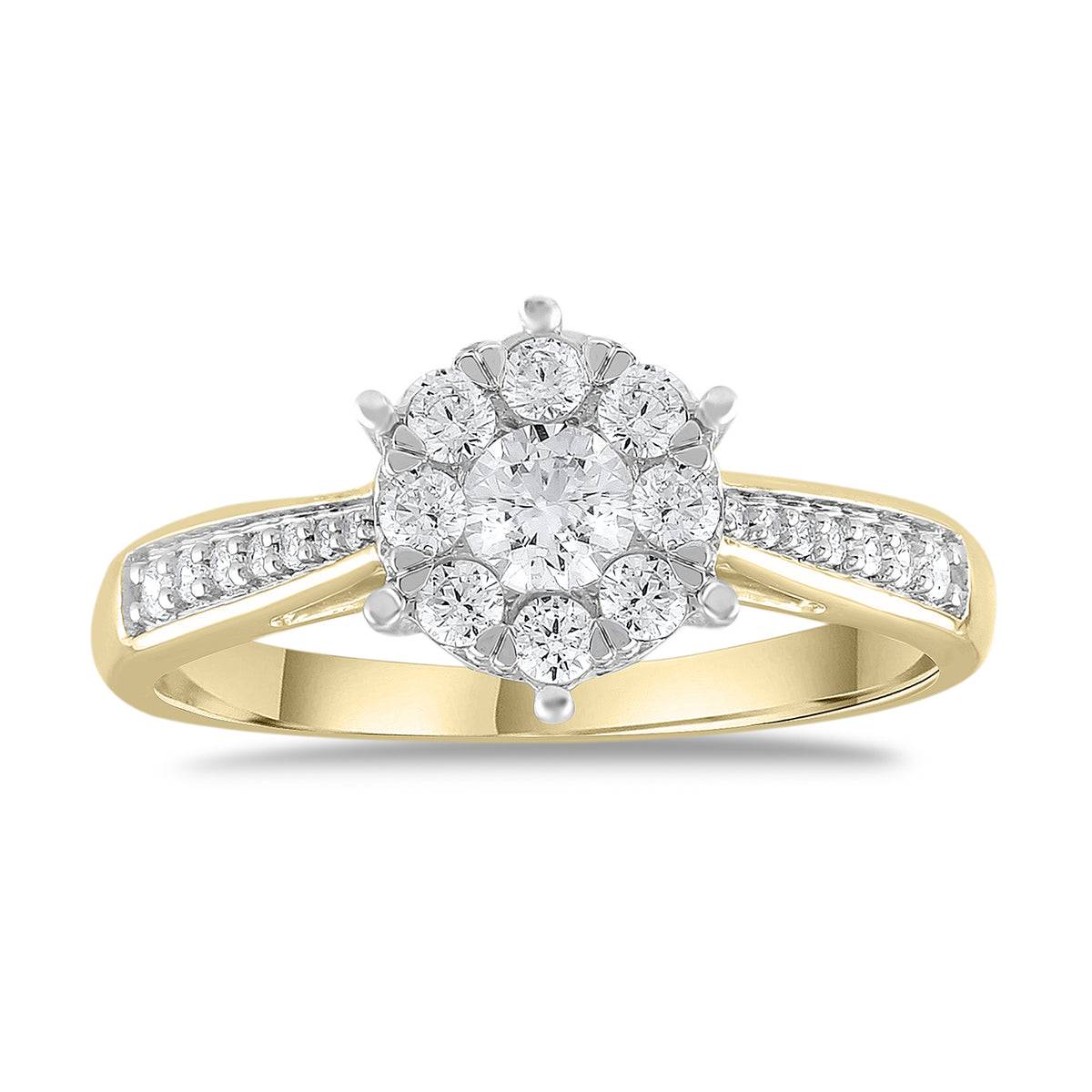 BRI35734-g