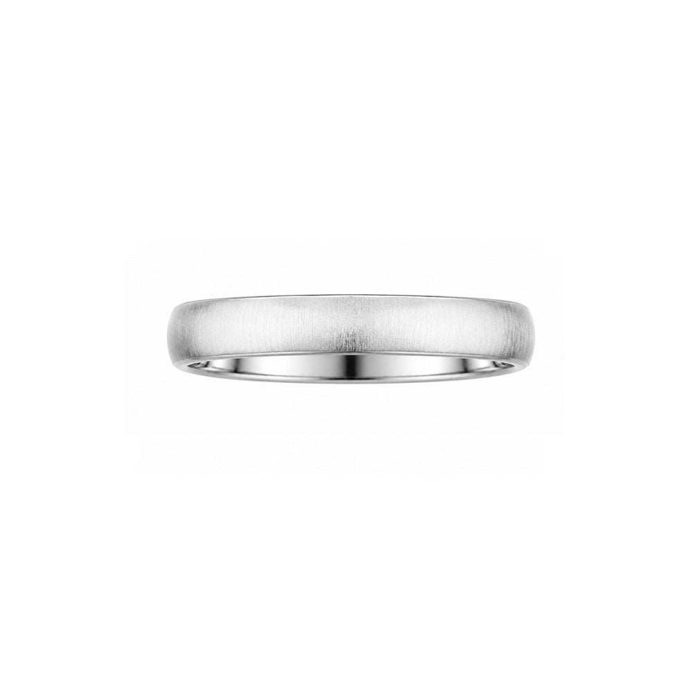 Palido Ehering Silber PasM005